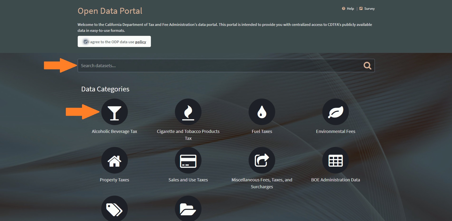 Screenshot #5: Data Portal Search Box and Data Categories Icons