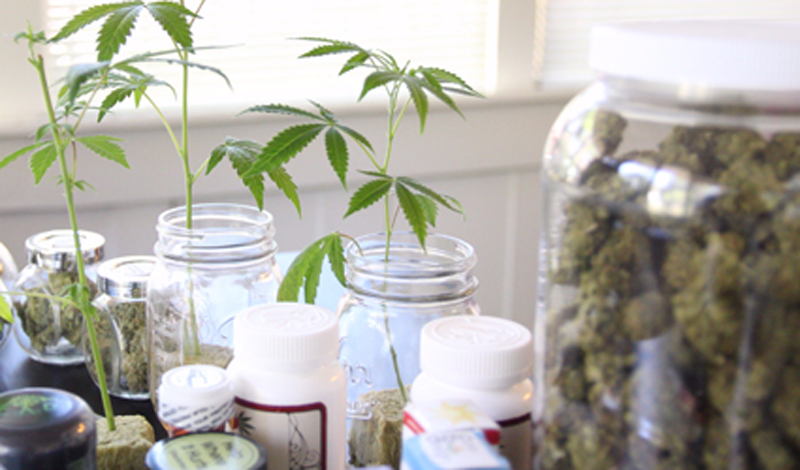Cannabis plants and medical products